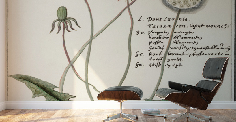 Dandelion in vintage style Wall Murals