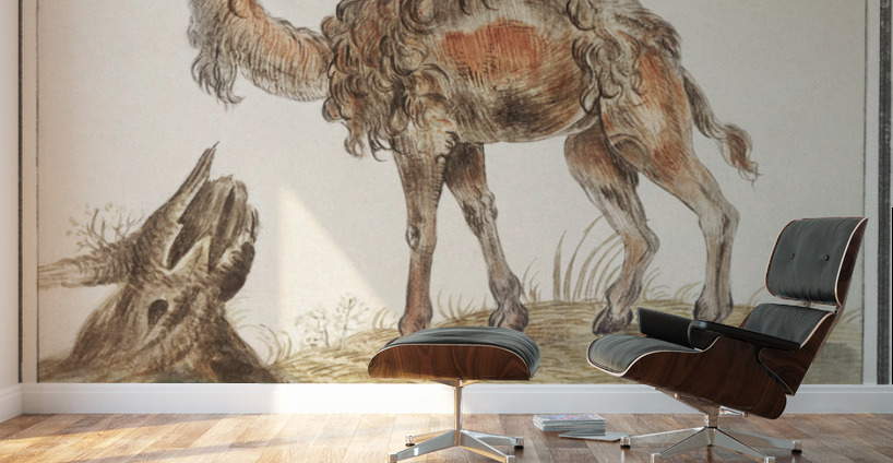 Dromedary in vintage style Wall Murals