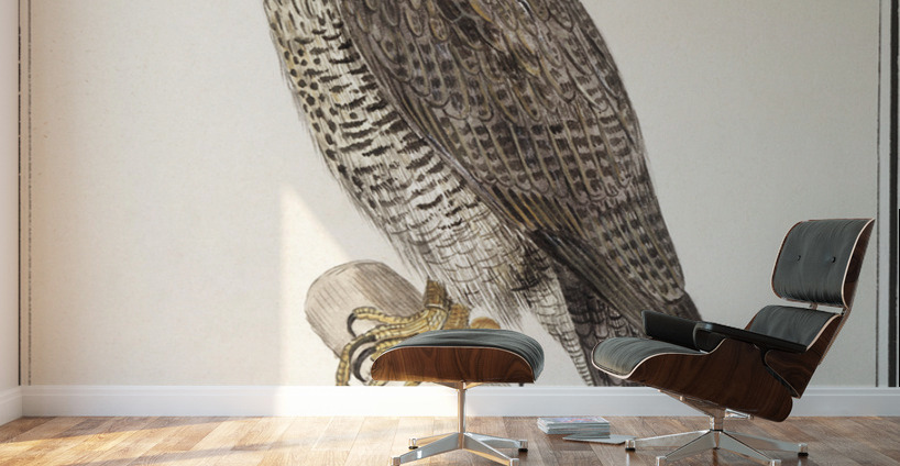 Peregrine falcon in vintage style Wall Murals