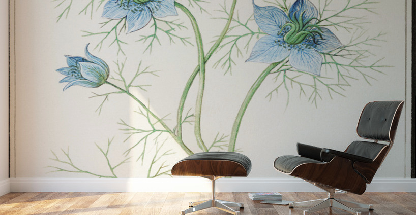 Love-in-a-mist flower Wall Murals
