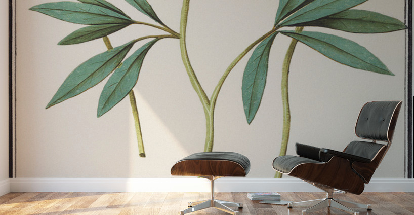 Peony in vintage style Wall Murals