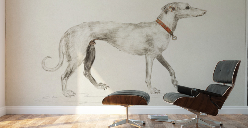 Greyhound in vintage style Wall Murals