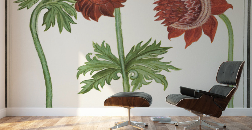 Anemone flower in vintage style Wall Murals
