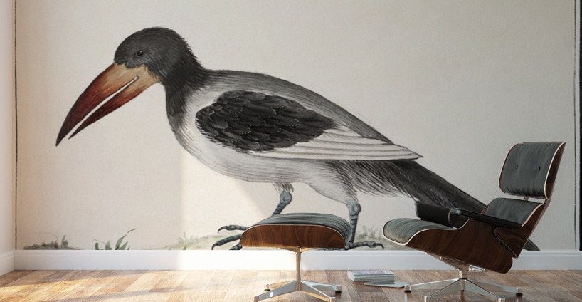 Unknown bird in vintage style Wall Murals