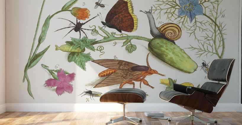 Nature ensemble in vintage style Wall Murals