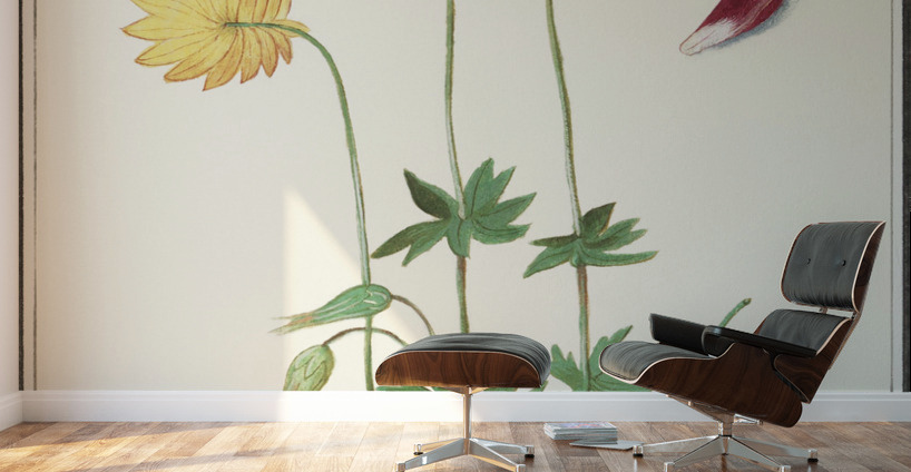 Anemone in vintage flower Wall Murals