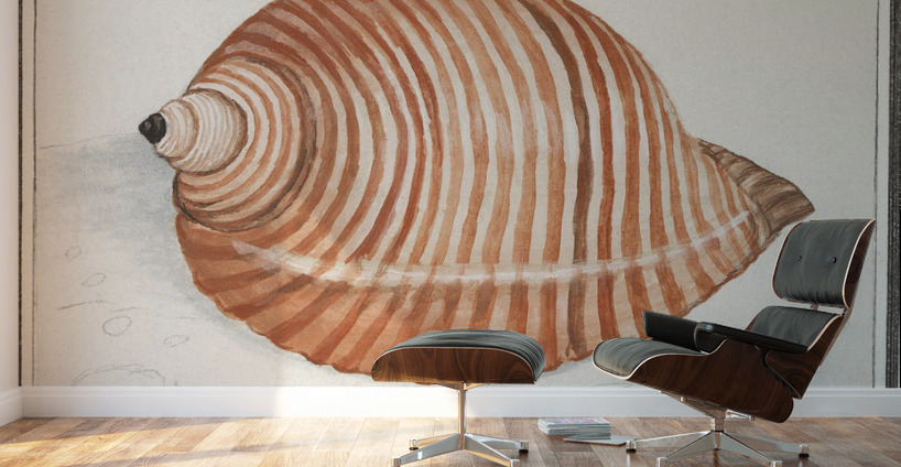 Sea shell in vintage style Wall Murals
