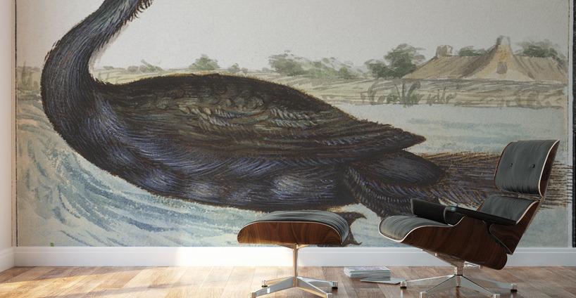 Cormorant in vintage style Wall Murals