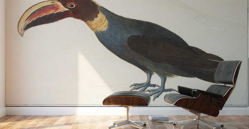 Redshank in vintage style Wall Murals