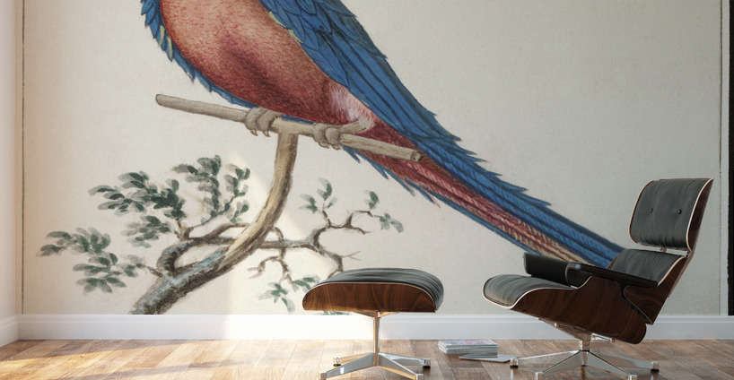 Blue and gold macaw in vintage style Wall Murals