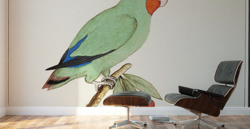Wallcreeper in vintage style Wall Murals