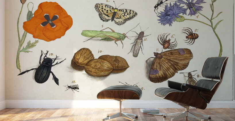 Wallcreeper in vintage style Wall Murals