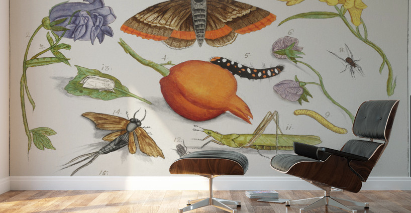 Nature ensemble in vintage style Wall Murals