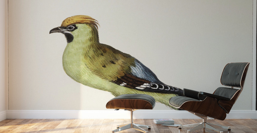 Bohemian waxwing in vintage style Wall Murals
