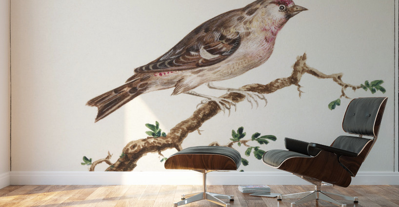 Redpoll in vintage style Wall Murals