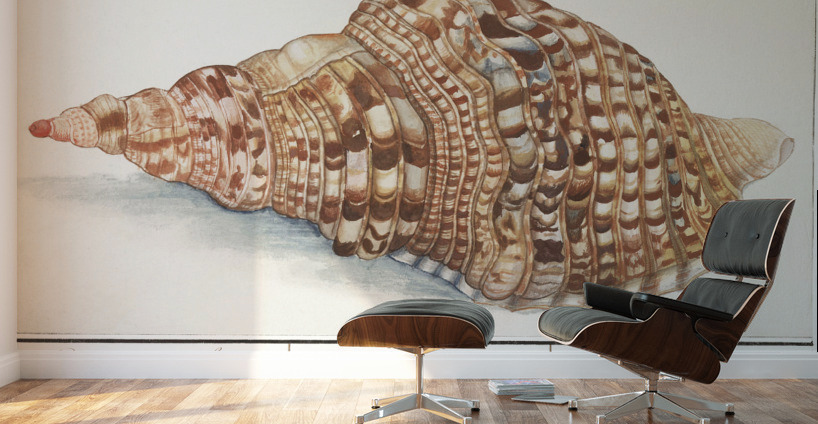 Tritons trumpet in vintage style Wall Murals