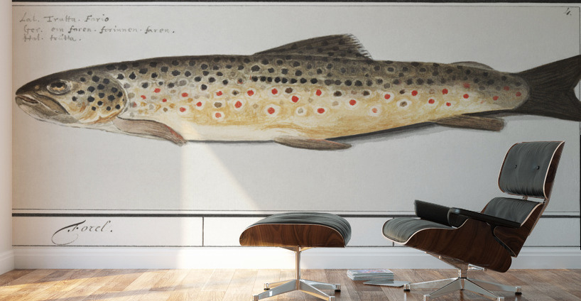 Trout in vintage style Wall Murals