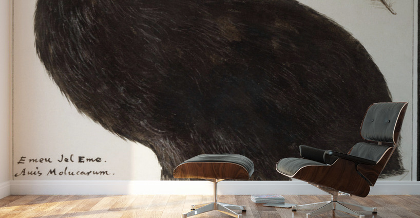 Cassowary vintage style Wall Murals