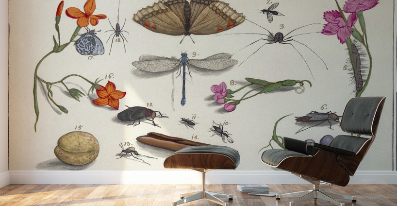 Nature ensemble in vintage style Impression murale