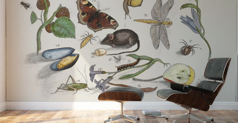 Nature ensemble in vintage style Wall Murals