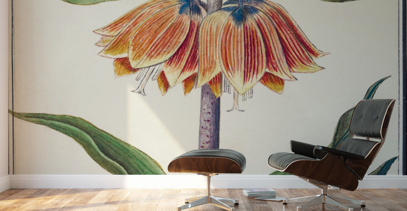 Kaisers crown in vintage style Wall Murals