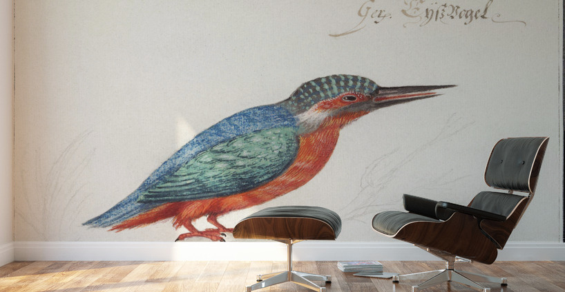 Kingfisher in vintage style Wall Murals