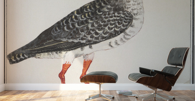 Redshank in vintage style Wall Murals