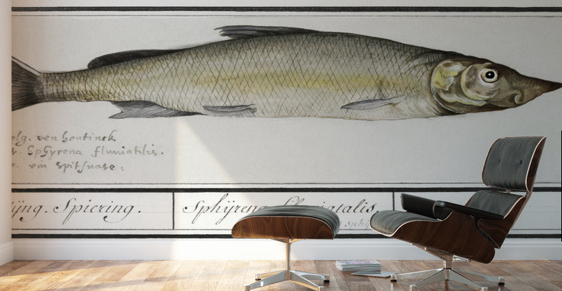 Houting in vintage style Wall Murals