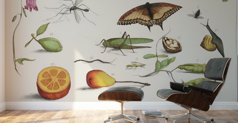 Grey parrot in vintage style Wall Murals