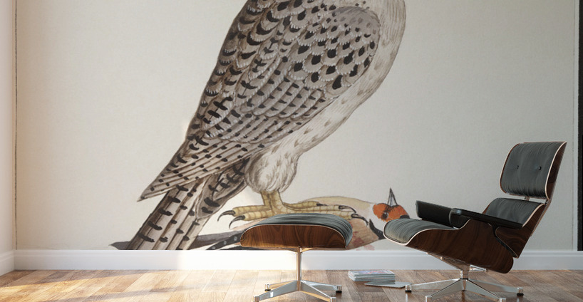 Gyrfalcon in vintage style Wall Murals