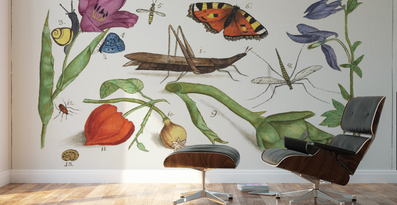 Nature ensemble in vintage style Wall Murals