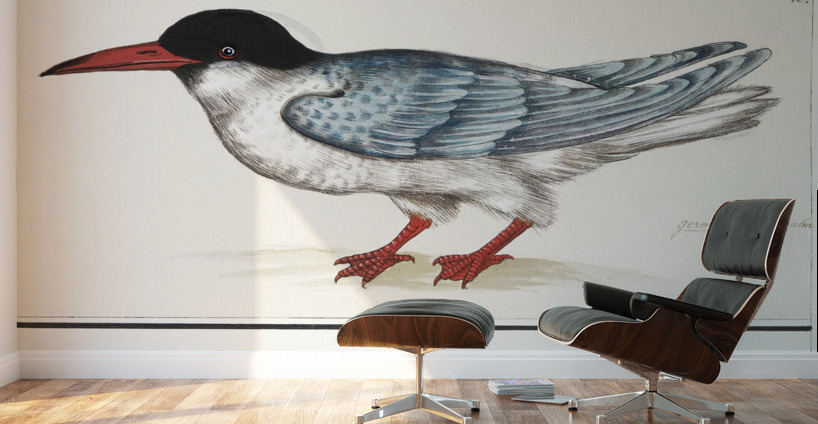 Tern in vintage style Wall Murals
