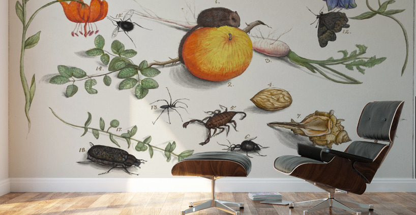 Nature ensemble in vintage style Wall Murals