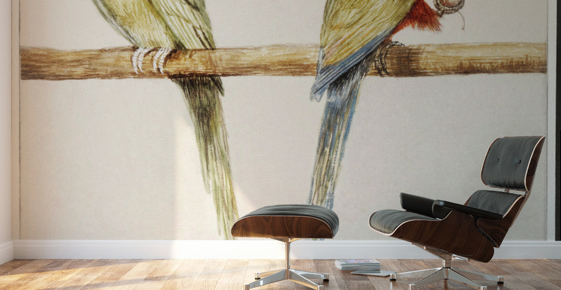 Parakeets in vintage style Wall Murals