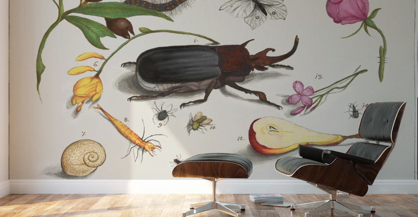 Nature ensemble in vintage style Wall Murals