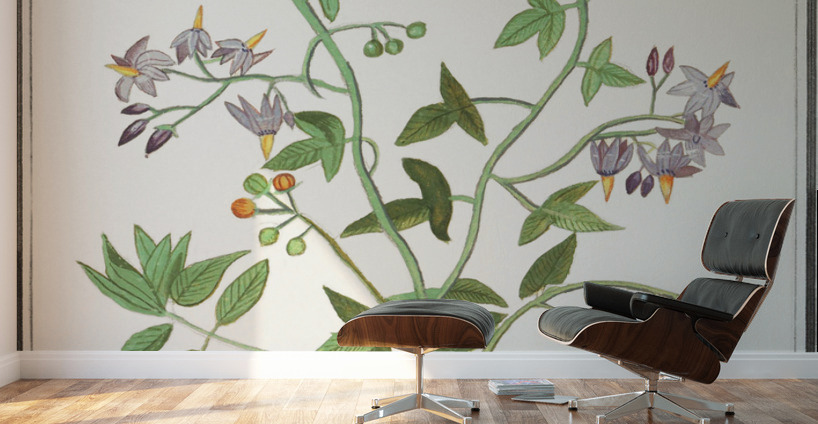 Bitter nightshade in vintage style Wall Murals