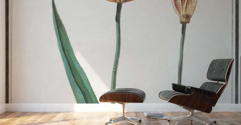 Tulip in vintage style Wall Murals