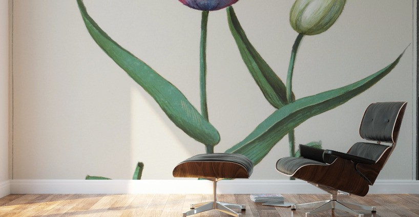 Tulip in vintage style Wall Murals