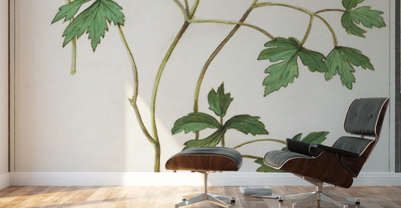 Windflower in vintage style Wall Murals