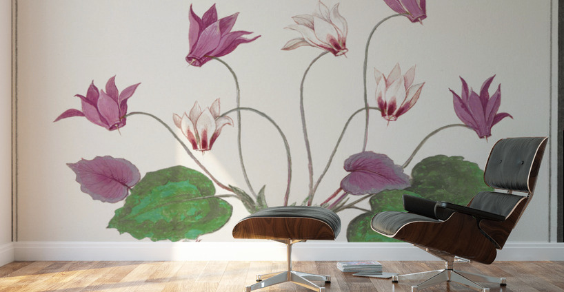 Cyclamen in vintage style Wall Murals