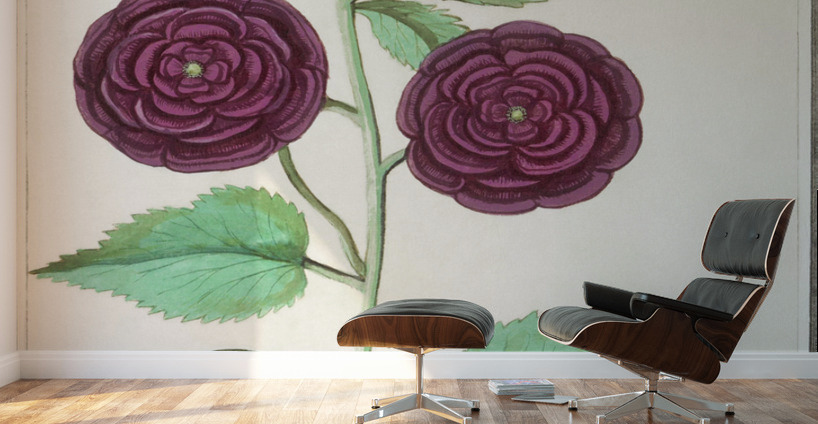 Alcea in vintage style Wall Murals