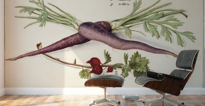Carrot and red currant in vintage style Wall Murals