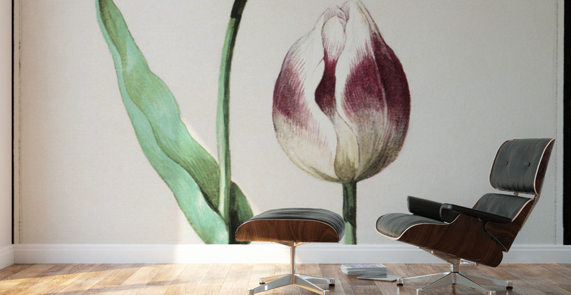 Tulip in vintage style Wall Murals