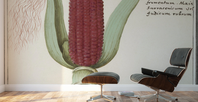 Maize in vintage style Wall Murals