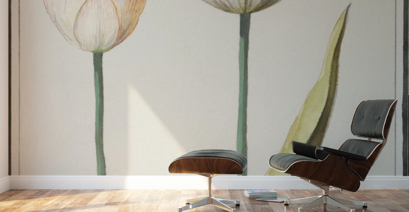 Anemone in vintage style Wall Murals