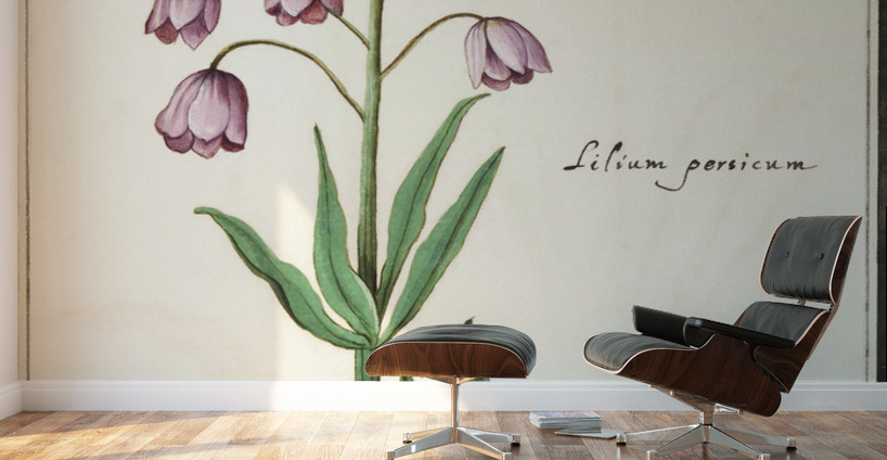 Persian lily in vintage style Wall Murals
