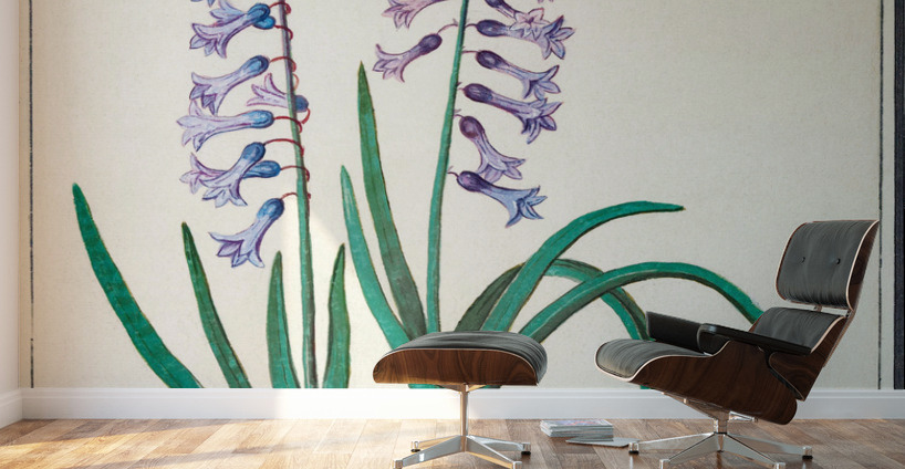 Hyacinth in vintage style Wall Murals