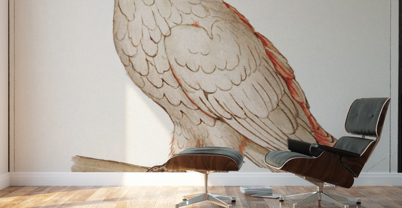 Moluccan cockatoo vintage style Wall Murals