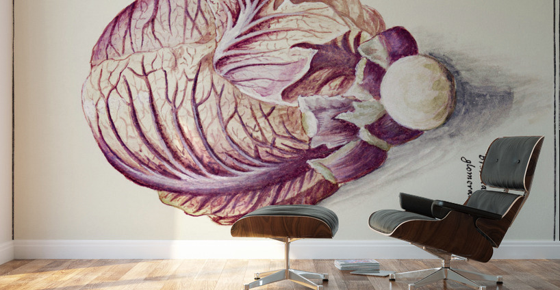 White cabbage in vintage style Wall Murals