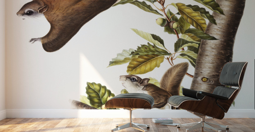 Cougar Felis concolor  Wall Murals